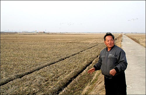 이민강 할아버지는 이 비옥한 땅에 미군의 시멘트가 깔리는 것은 상상할 수 없는 일이라며 올해도 우리에게 찰진 평택쌀을 먹이겠다는 단단한 결심을 내비쳤다. 